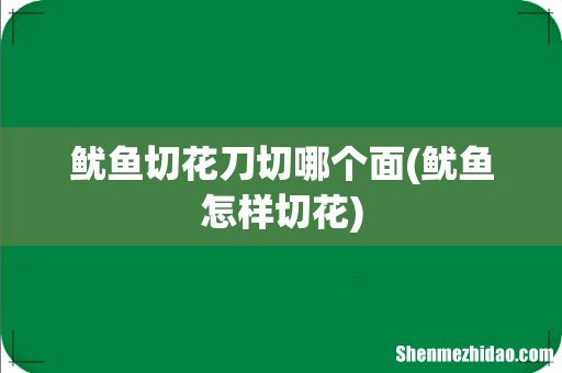 鱿鱼怎样切花 鱿鱼切花刀切哪个面