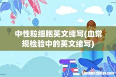 血常规检验中的英文缩写 中性粒细胞英文缩写