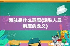 派驻人员制度的含义 派驻是什么意思