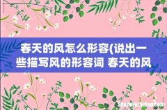说出一些描写风的形容词 春天的风,夏天的风,秋天的风,冬天的风 春天的风怎么形容