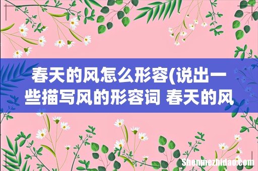 说出一些描写风的形容词 春天的风,夏天的风,秋天的风,冬天的风 春天的风怎么形容