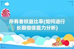 如何进行长期偿债能力分析 所有者权益比率