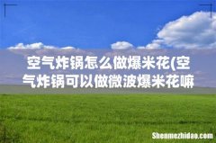 空气炸锅可以做微波爆米花嘛，是直接放里面，还是把玉米倒出来 空气炸锅怎么做爆米花