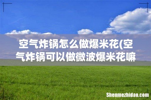 空气炸锅可以做微波爆米花嘛,是直接放里面,还是把玉米倒出来 空气炸锅怎么做爆米花