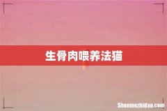 生骨肉喂养法猫