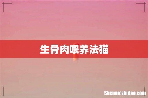 生骨肉喂养法猫