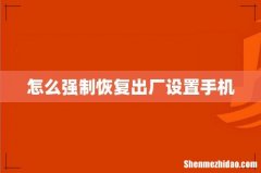 怎么强制恢复出厂设置手机