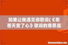 《怨苍天变了心》歌词的意思是什么？ 如果让我遇见你歌词