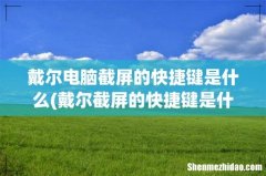 戴尔截屏的快捷键是什么 戴尔电脑截屏的快捷键是什么