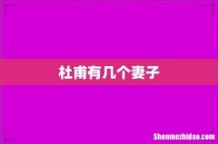 杜甫有几个妻子