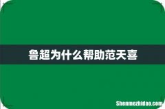 鲁超为什么帮助范天喜