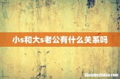 小s和大s老公有什么关系吗