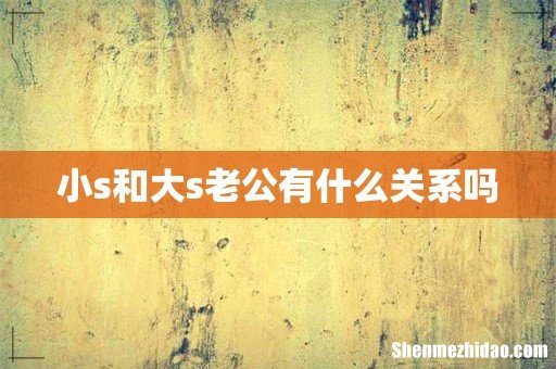 小s和大s老公有什么关系吗