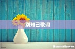 别知己歌词