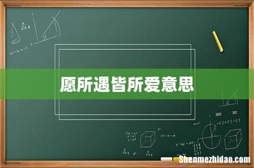 愿所遇皆所爱意思