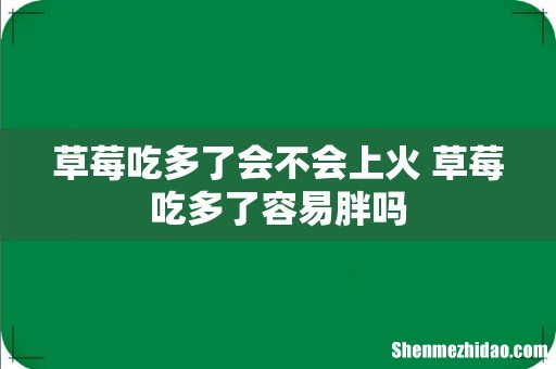 草莓吃多了会不会上火 草莓吃多了容易胖吗