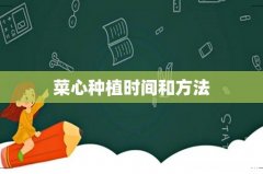 菜心种植时间和方法