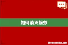 如何消灭蚂蚁