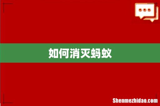 如何消灭蚂蚁