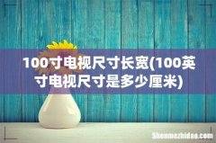 100英寸电视尺寸是多少厘米 100寸电视尺寸长宽