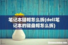 dell笔记本的键盘帽怎么拆 笔记本键帽怎么拆