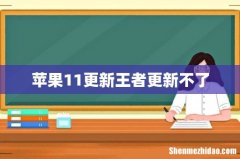 苹果11更新王者更新不了