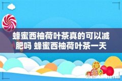 蜂蜜西柚荷叶茶真的可以减肥吗 蜂蜜西柚荷叶茶一天喝几次