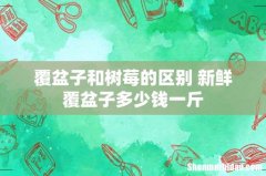 覆盆子和树莓的区别 新鲜覆盆子多少钱一斤