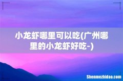 广州哪里的小龙虾好吃- 小龙虾哪里可以吃