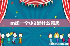 m加一个小2是什么意思