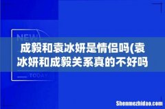 袁冰妍和成毅关系真的不好吗？ 成毅和袁冰妍是情侣吗