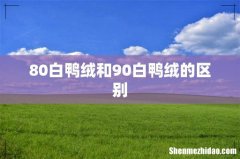 80白鸭绒和90白鸭绒的区别