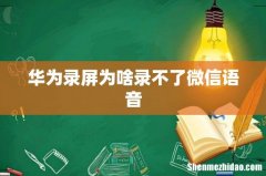 华为录屏为啥录不了微信语音