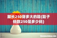 鞋子码数250是多少码 脚长250穿多大的鞋