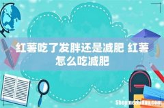 红薯吃了发胖还是减肥 红薯怎么吃减肥