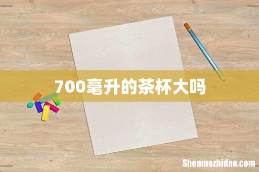 700毫升的茶杯大吗