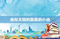 类似太阳的距离的小说