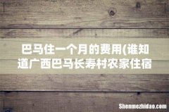 谁知道广西巴马长寿村农家住宿的价格，多少钱1个月？ 巴马住一个月的费用