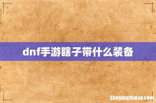 dnf手游瞎子带什么装备