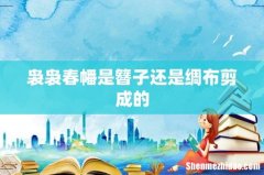 袅袅春幡是簪子还是绸布剪成的