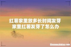 红薯家里放多长时间发芽 家里红薯发芽了怎么办