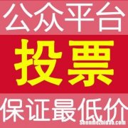 福建微信人工投票价格刷票多少钱 福建微信人工投票价格刷票多少钱一个
