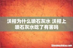 沃柑为什么喷石灰水 沃柑上喷石灰水吃了有害吗