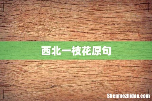 西北一枝花原句