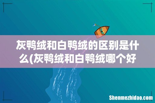灰鸭绒和白鸭绒哪个好 灰鸭绒和白鸭绒的区别是什么