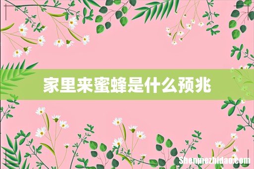 家里来蜜蜂是什么预兆