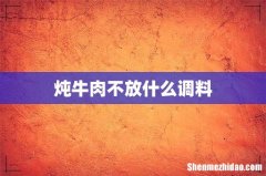 炖牛肉不放什么调料