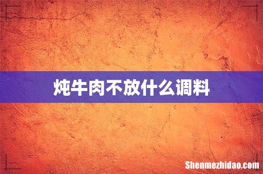 炖牛肉不放什么调料