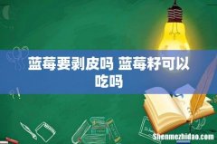 蓝莓要剥皮吗 蓝莓籽可以吃吗