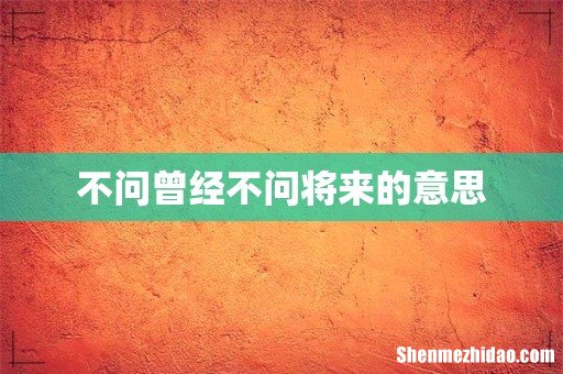 不问曾经不问将来的意思